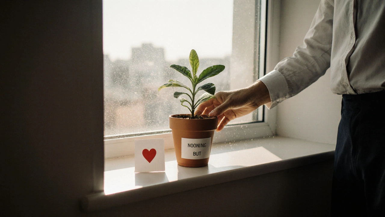 Рука ставит горшок с растением на подоконник пустого офиса, рядом лежит записка с сердечком.